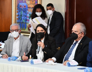 Carolina Serrata Méndez participa reunión bicameral modificación Ley 87-01