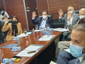 Directora de la DIDA participa en Consejo Directivo del Servicio Nacional de Salud